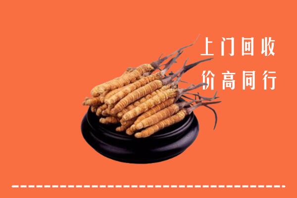 高价求购：白河县回收散虫草