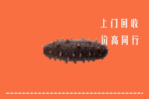 高价求购：白河县回收海参