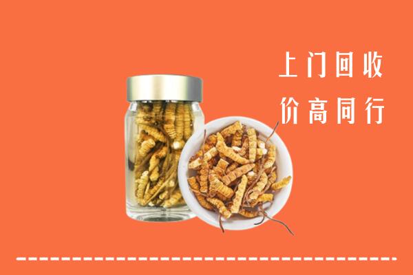 收购行情：白河县回收冬虫夏草